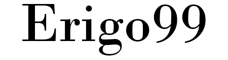 Erigo99